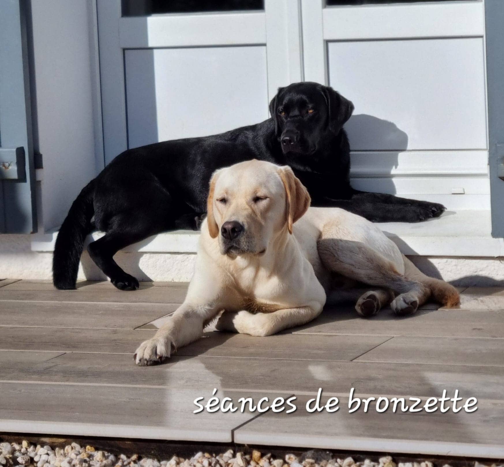 Cliquez pour agrandir Bronzette de Raya et compagnie La Rochelle