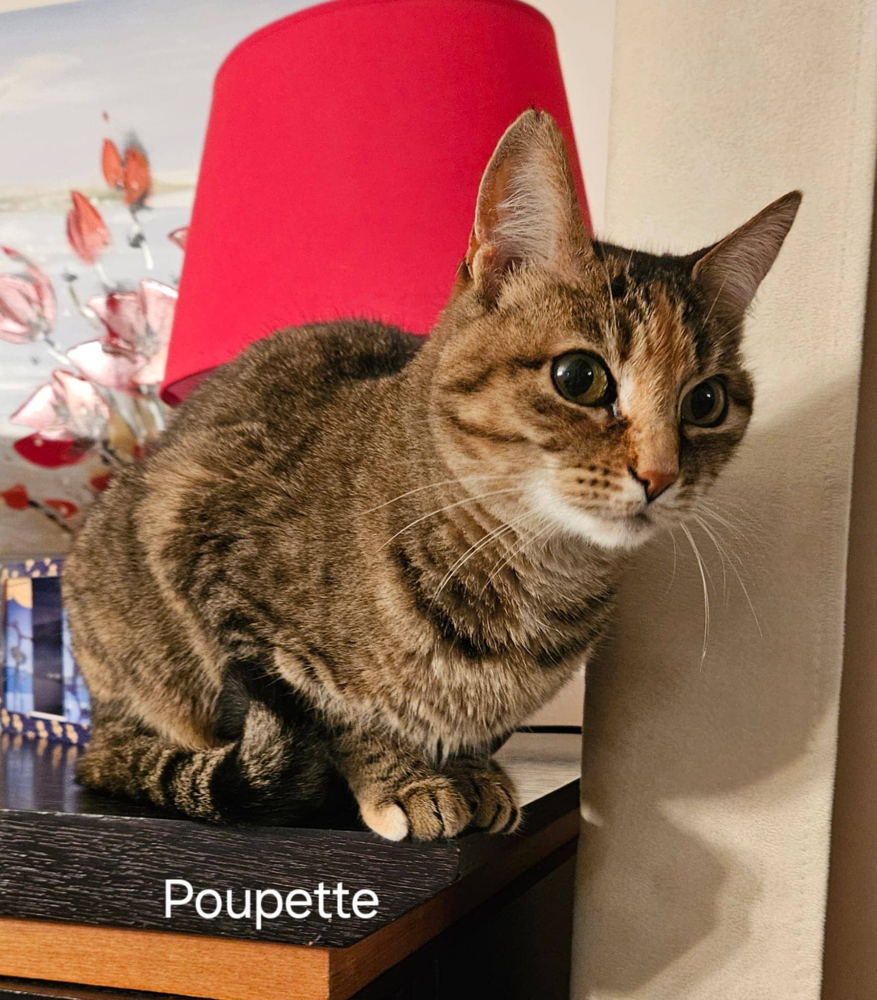 Cliquez pour agrandir Poupette de Raya et compagnie La Rochelle