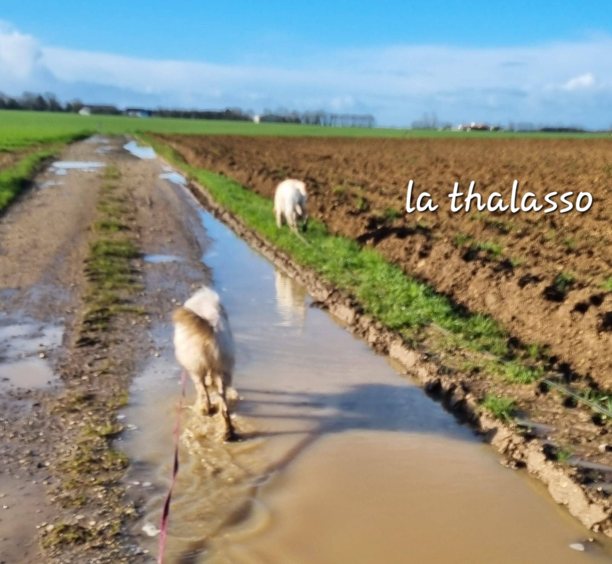 Cliquez pour agrandir Thalasso de Raya et compagnie La Rochelle
